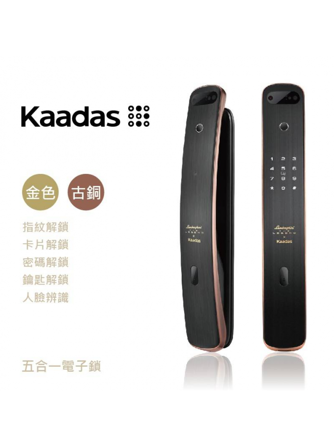 凱迪仕電子鎖 五合一電子鎖－鎖羅門